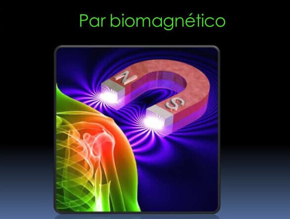 Par Biomagnético
