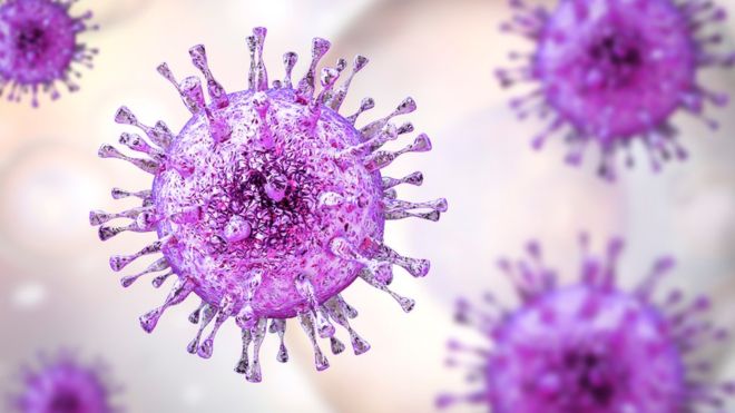 Virus