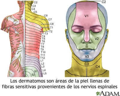 Dermalgias