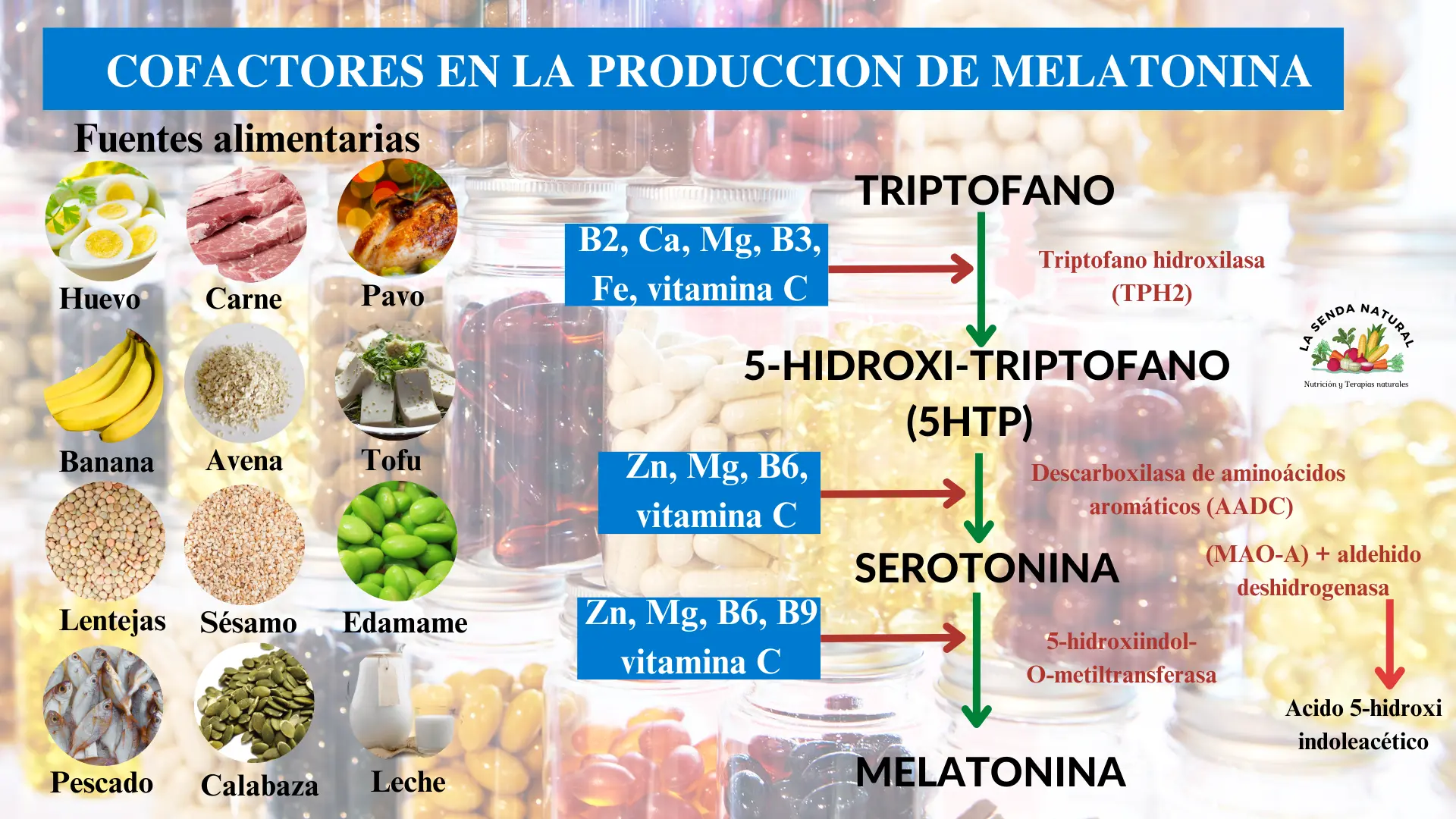 Cofactores en la producción de melatonina