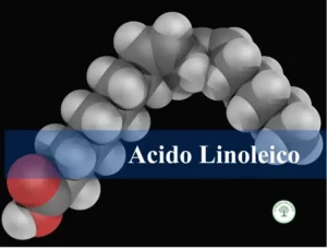 Acido linoleico