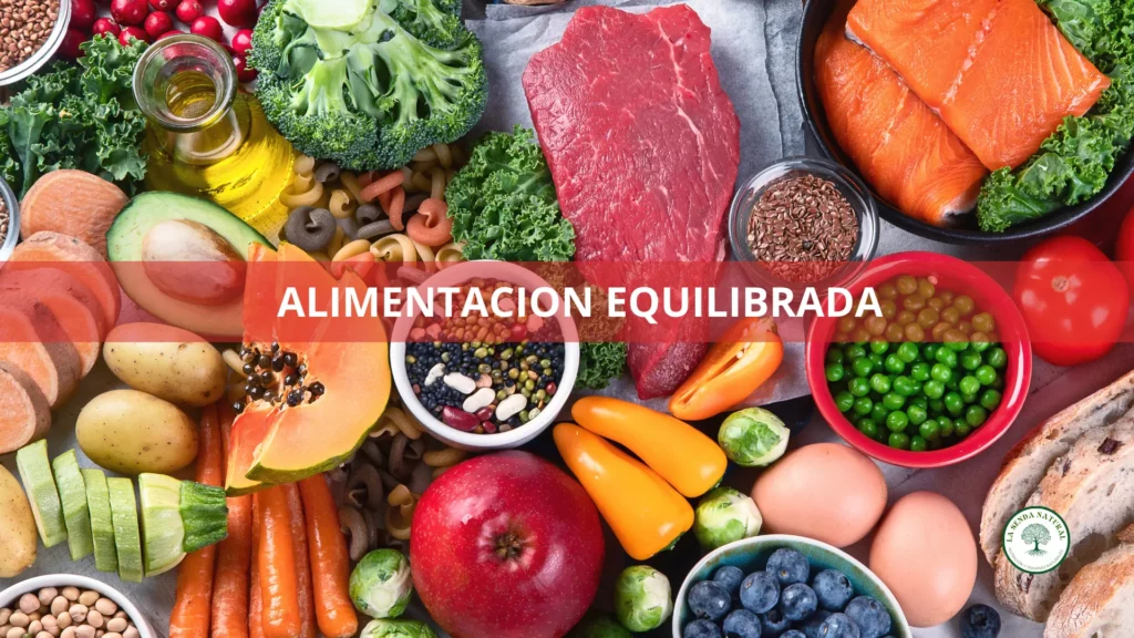 Alimentación equilibrada