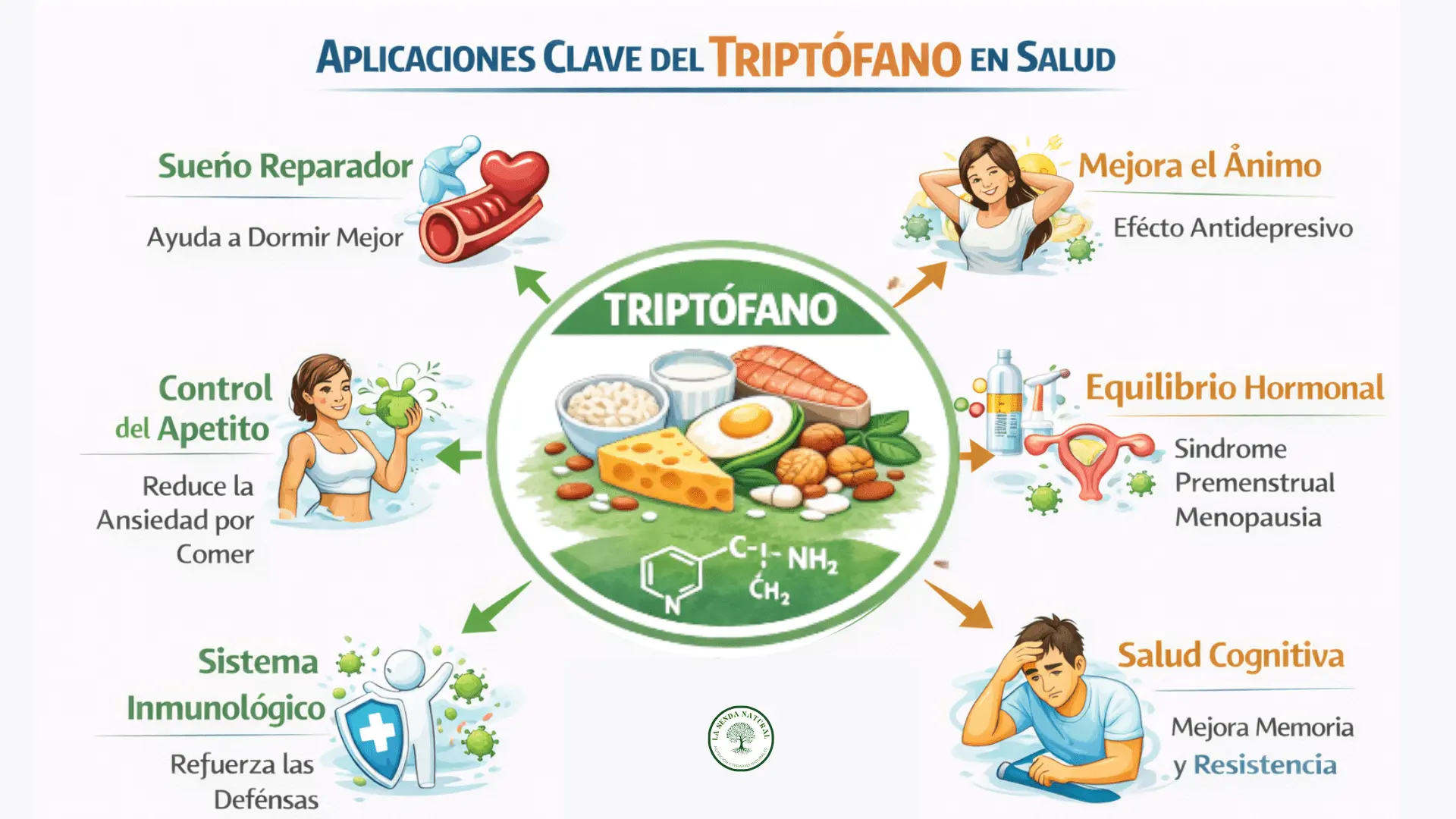 Aplicaciones clave del triptófano en la salud