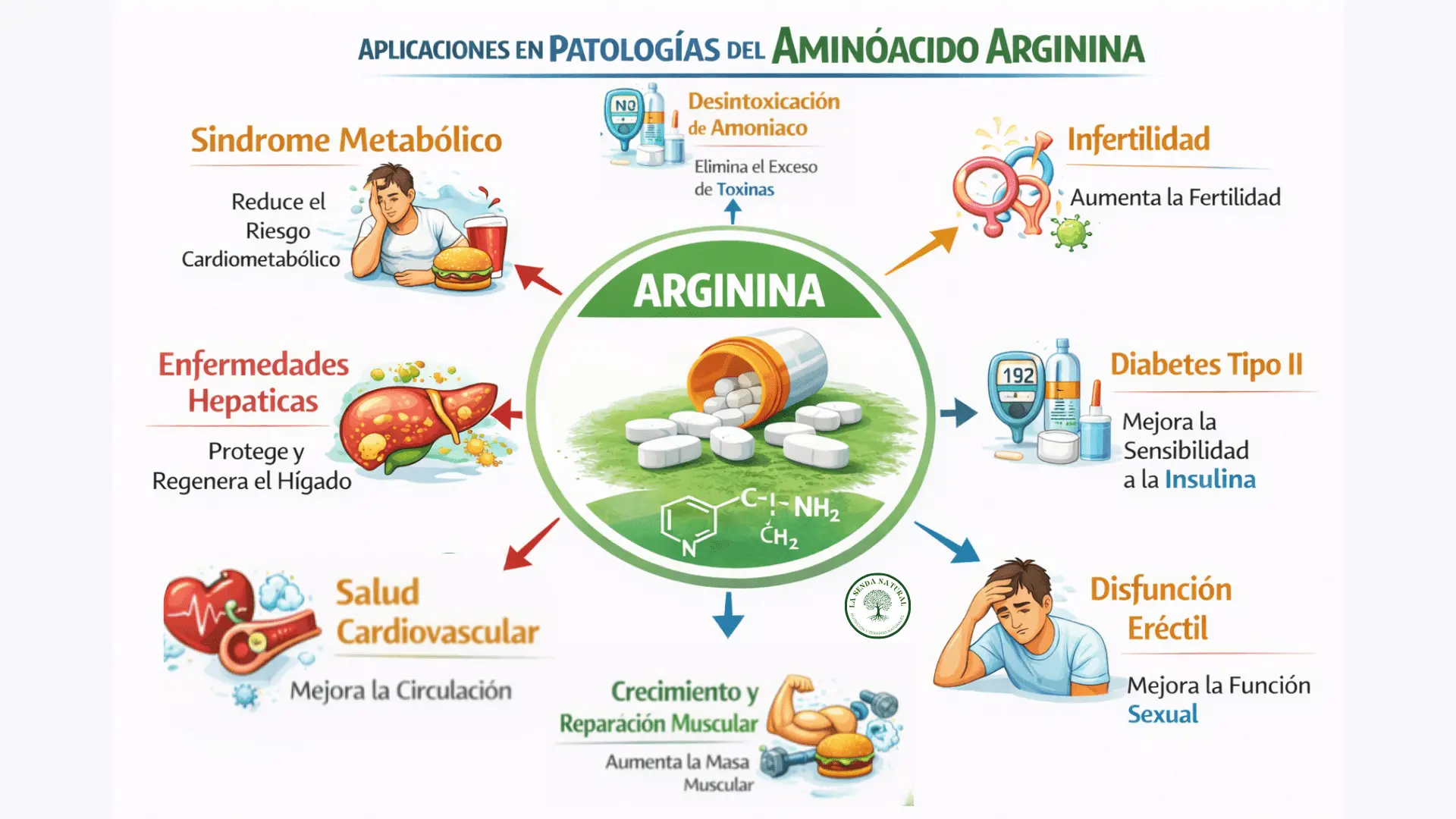 Aplicaciones en patologías de la arginina