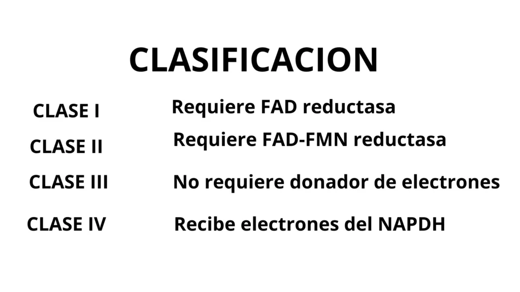 Clasificxación de los citocromos