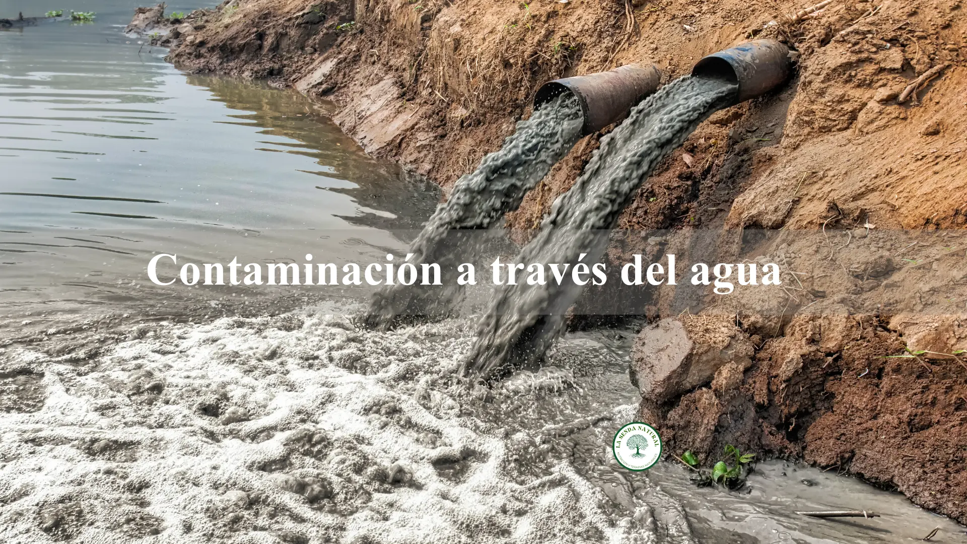 Contaminación a traves del agua