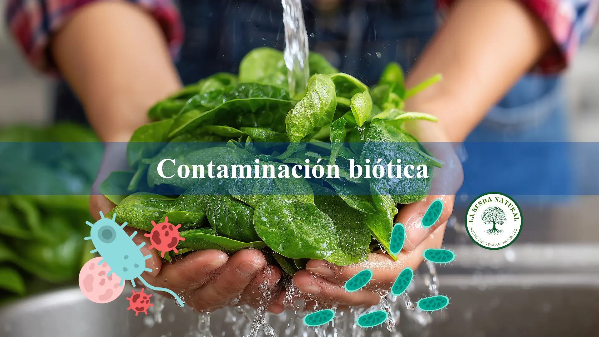 Qué es la contaminación biótica