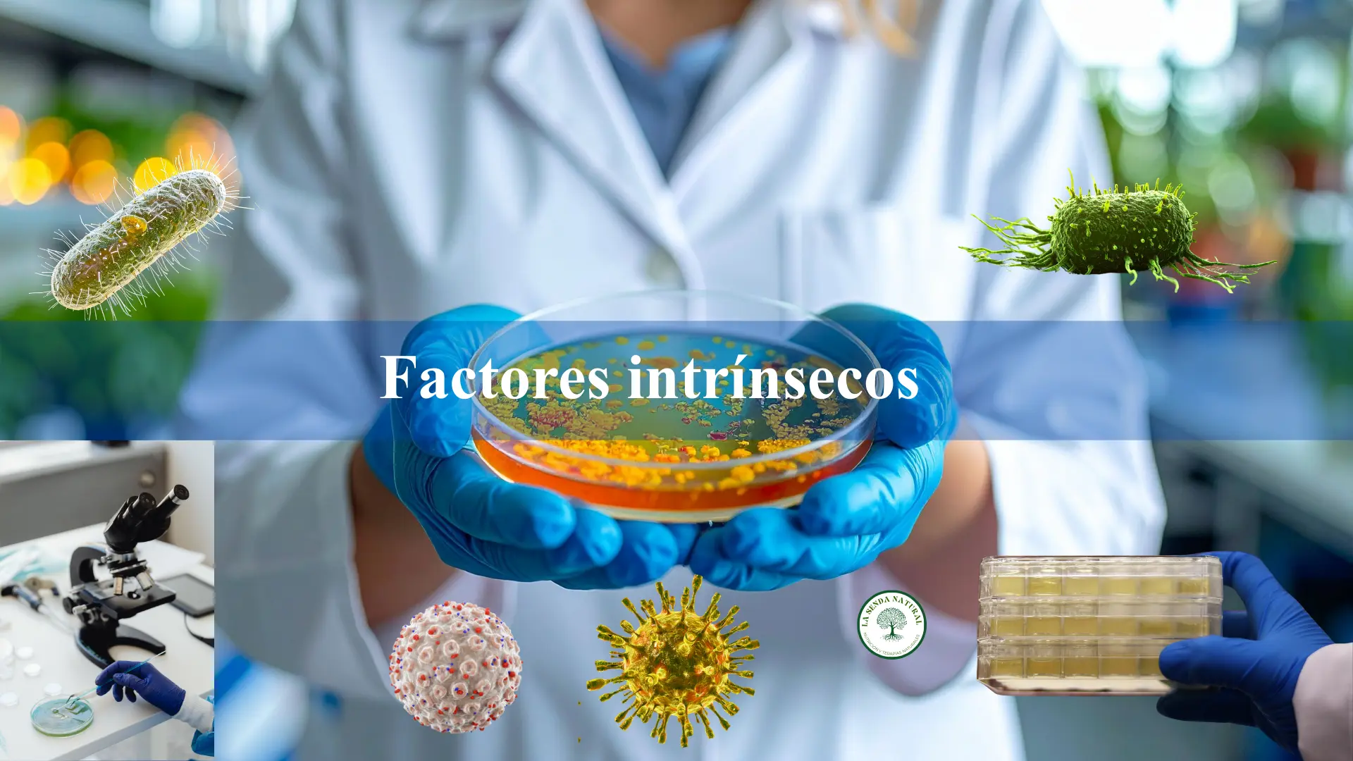 Factores intrínsecos