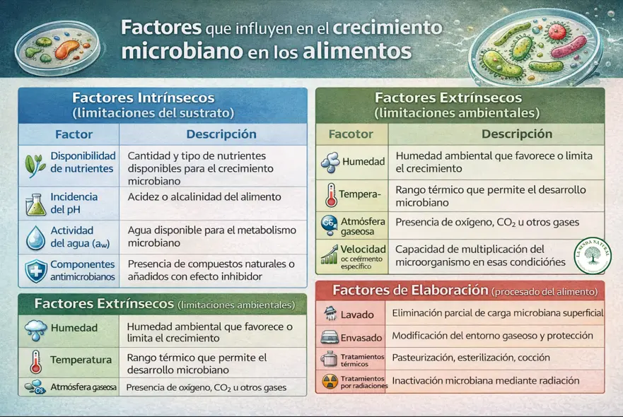 Factores relacionados con el crecimiento de los microorganismos
