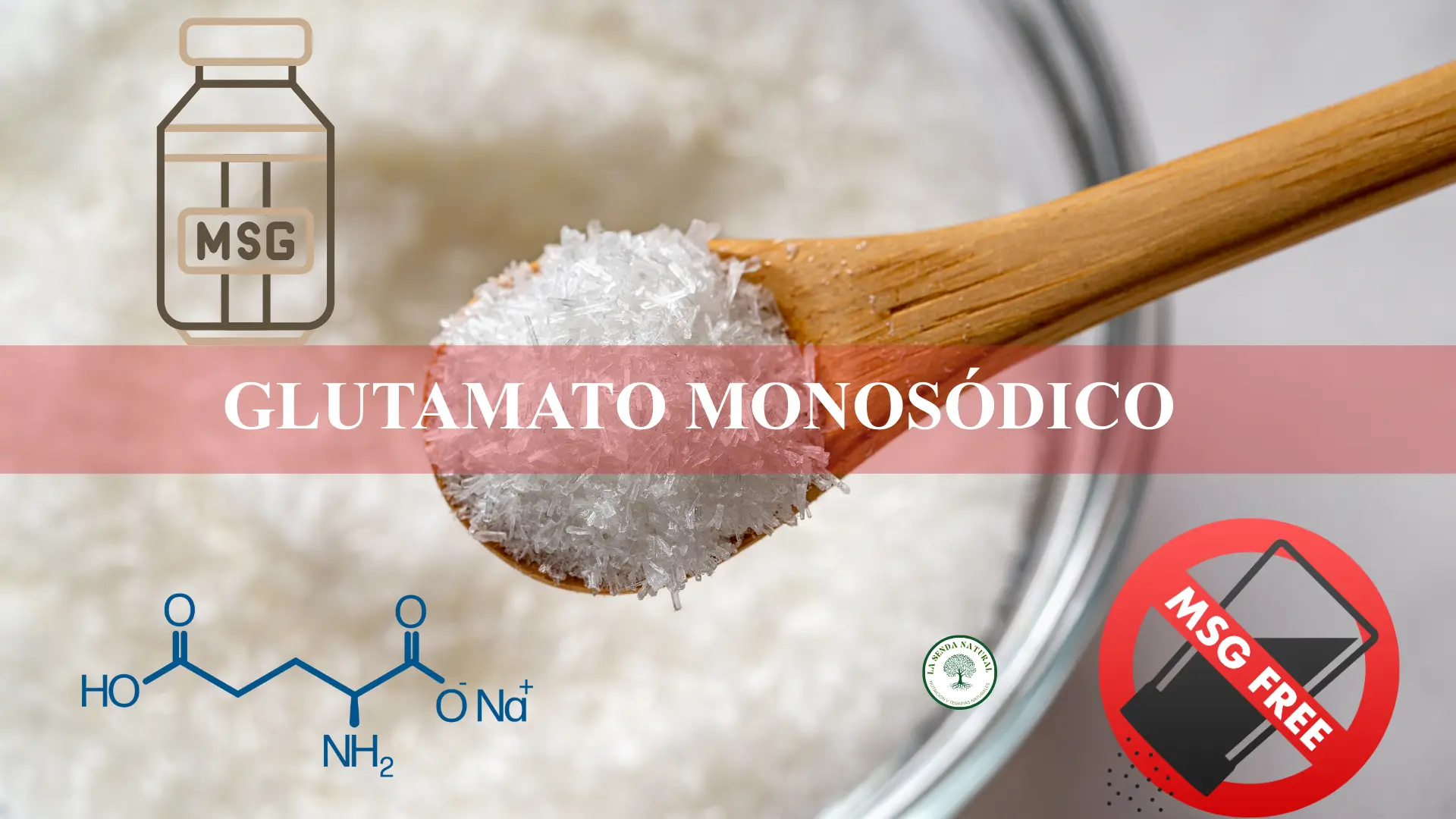 GLUTAMATO MONOSODICO