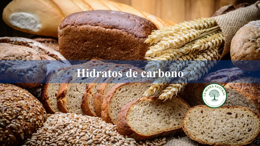 Hidratos de carbono