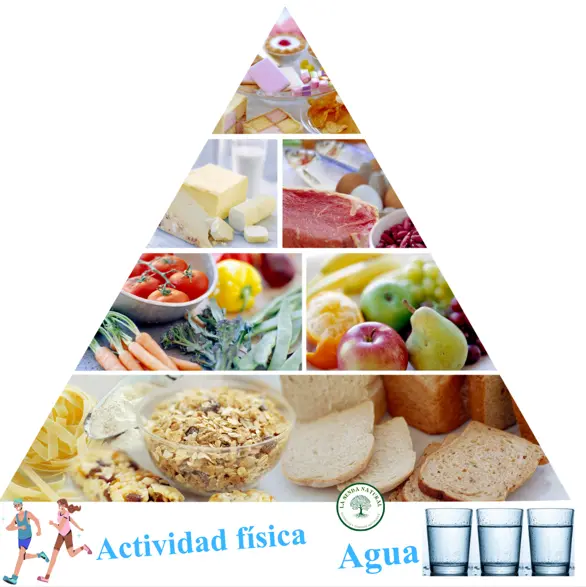 Pirámide alimentaria