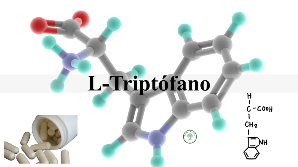 Qué es el L-triptófano