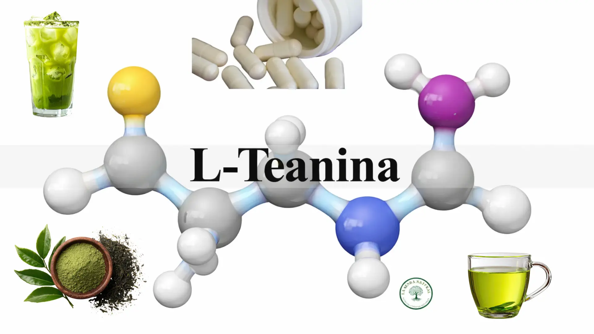 Qué es la L-teanina