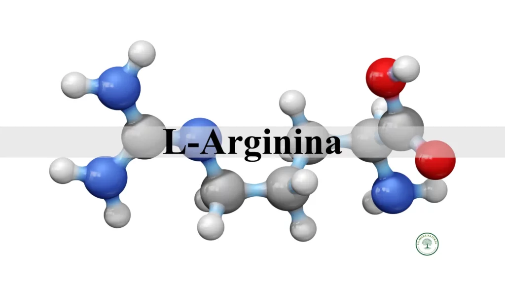 Qué es la L-arginina