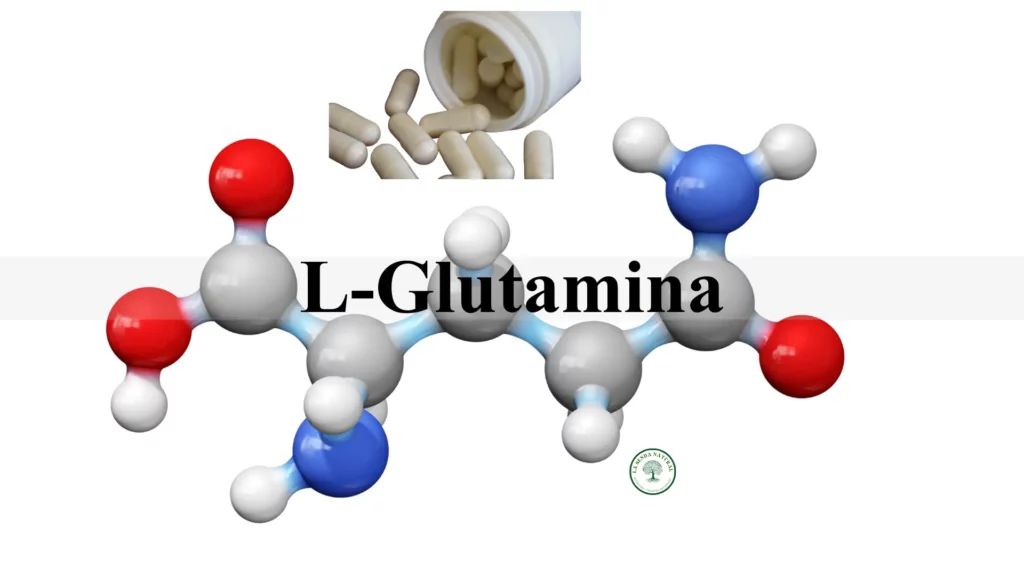 Qué es la L-glutamina