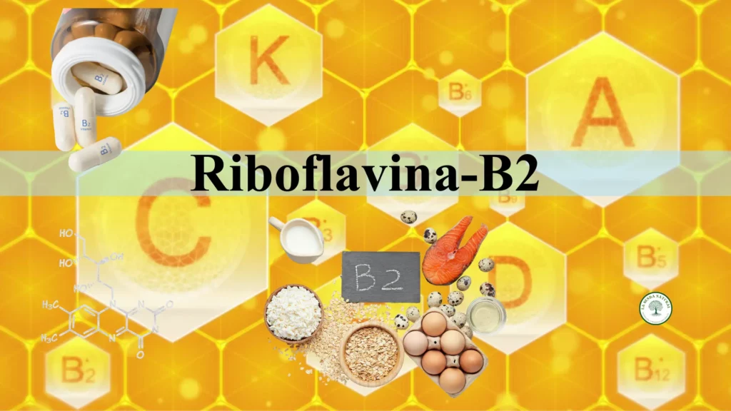 Qué es la riboflavina