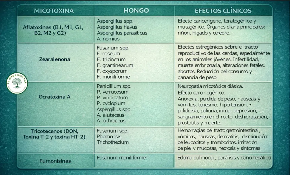 Tabla sobre microorganismos y sus toxinas