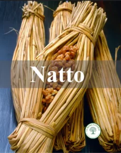 como se elabora el natto