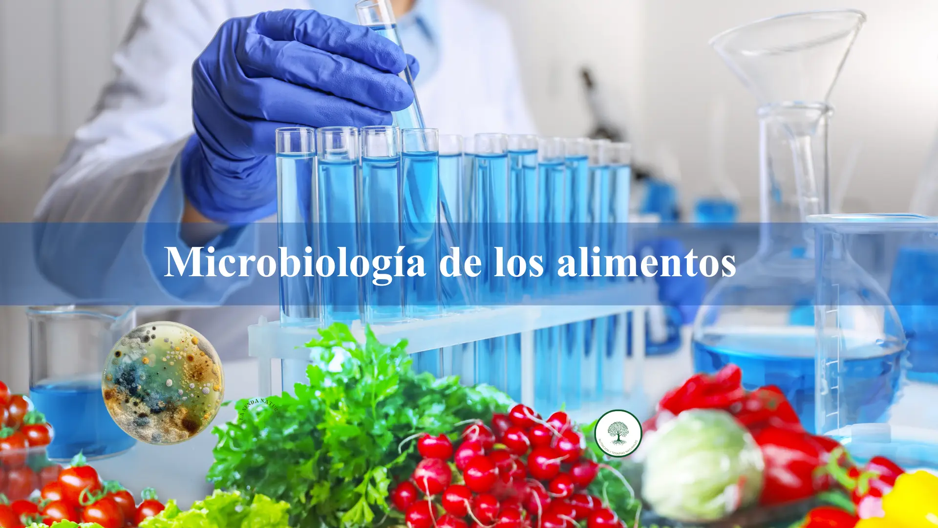 microbiología de los alimentos