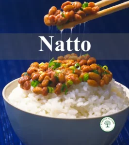 natto y natokinasa
