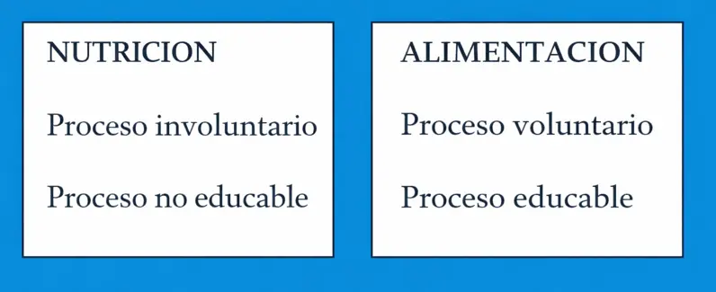 que es la nutrición