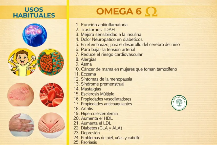 usos habituales de los ácidos grasos omega 6