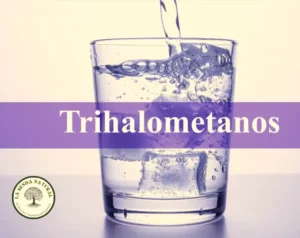 Los trihalometanos