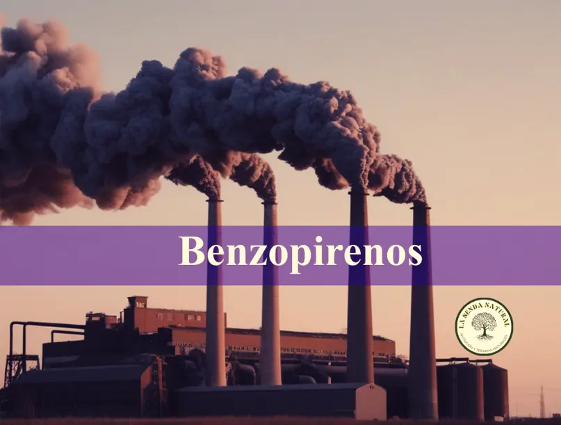 Qué son los benzopirenos