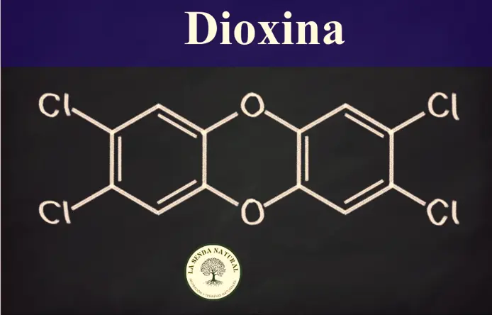 que son las dioxinas