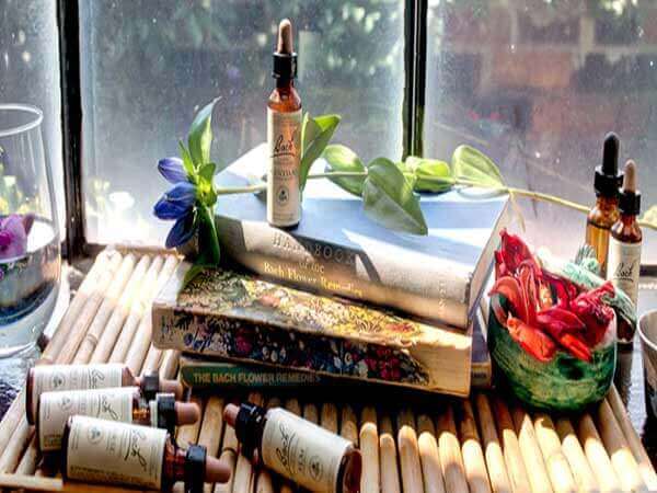 flores-de-bach flores-de-bach