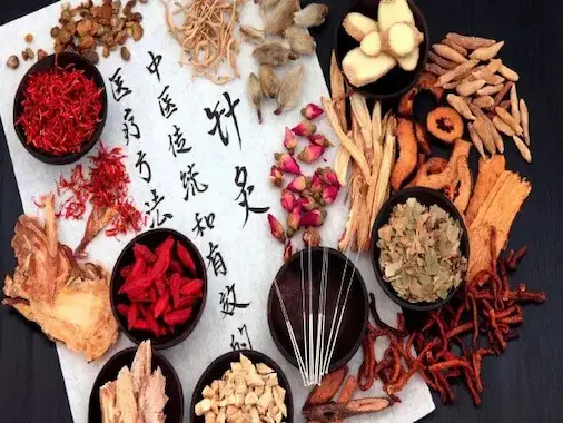 Blog-de-Bioenergética de la senda natural Pascual Martínez