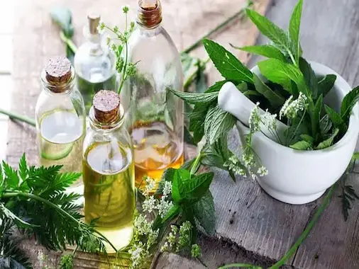 Blog-de-terapias-naturales de la senda natural pascual Martínez