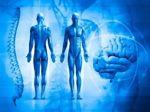 Blog-el-cuerpo-humano la senda natural pascual martinez