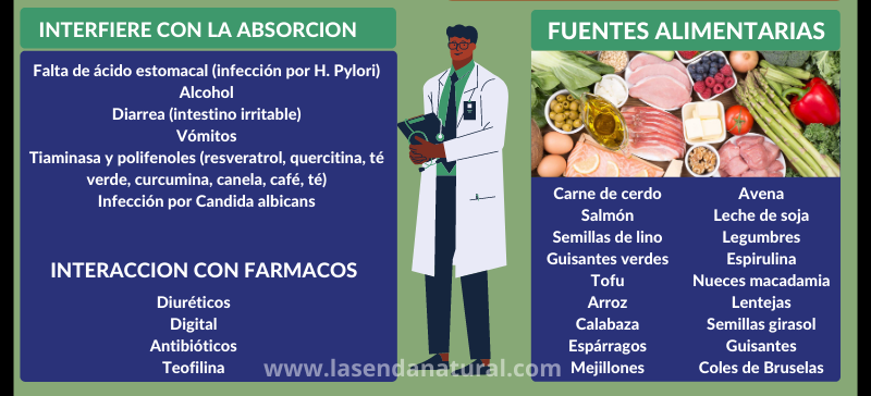 Interacciones con fármacos