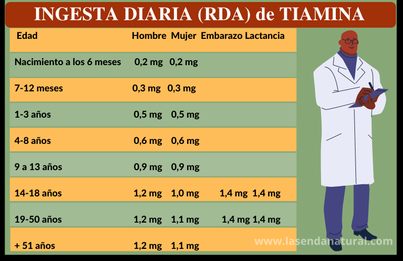 RDA de la vitamina B1