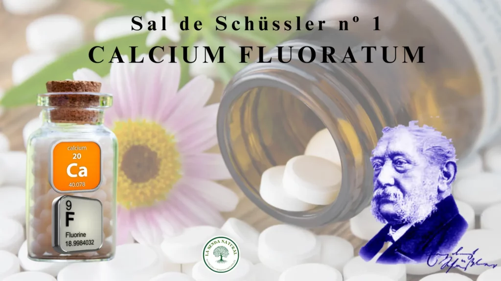 1-CALCIUM FLUORICUM