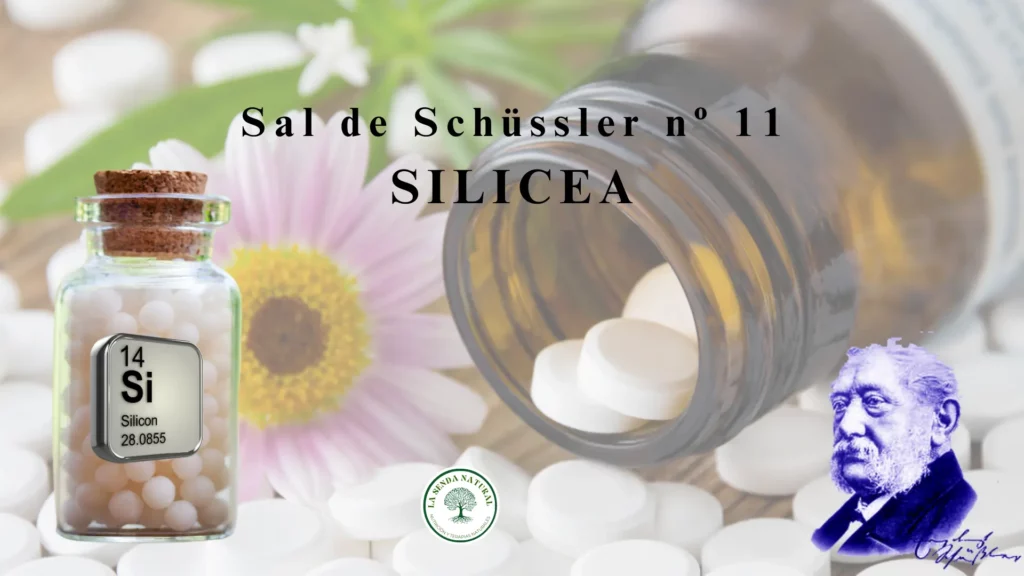11-SILICEA