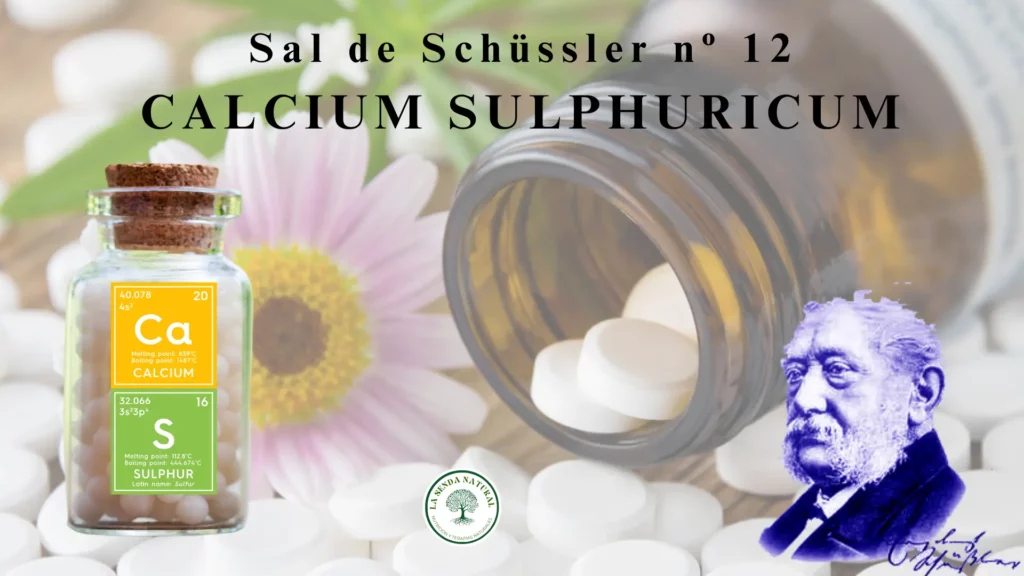 12-CALCIUM SULFURICUM