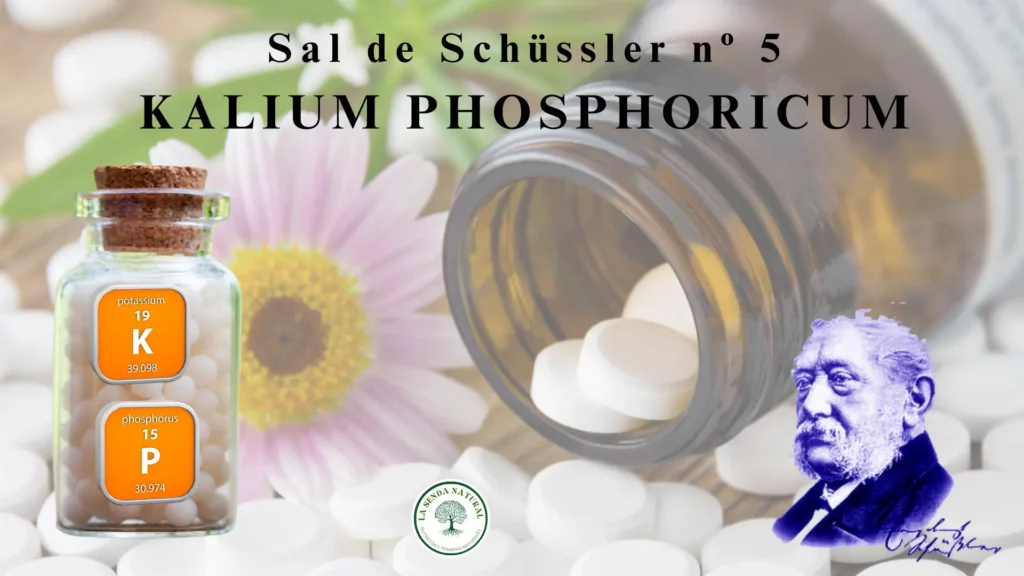 5-KALIUM PHOSPHORICUM