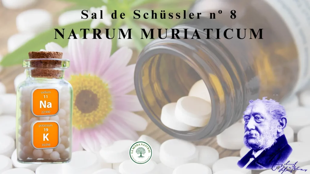 8-NATRUM MURIATICUM
