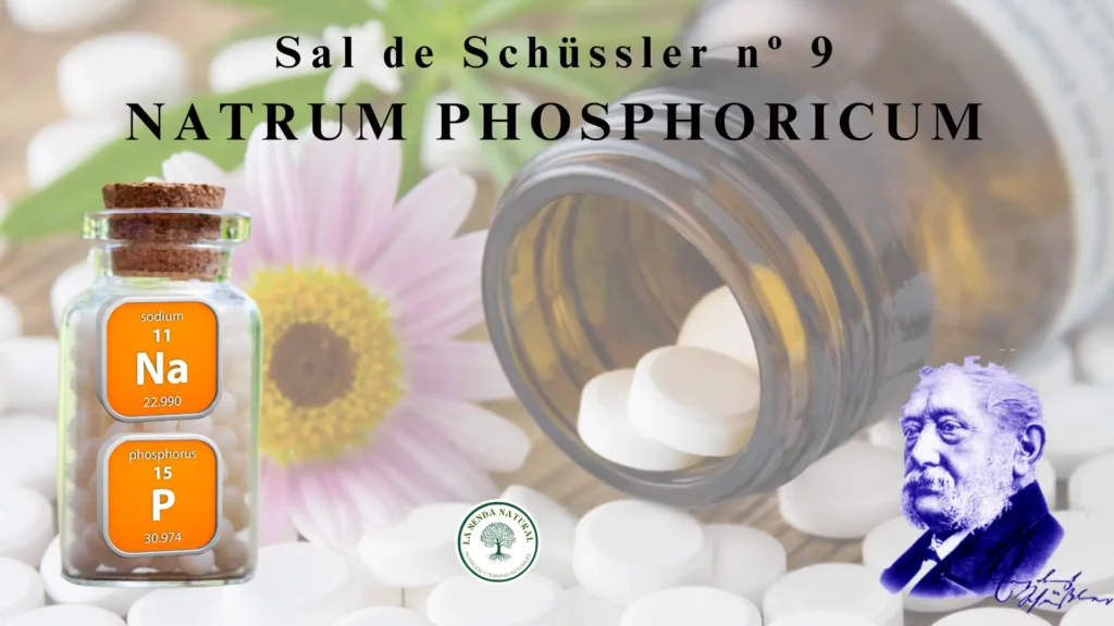 9-NATRUM PHOSPORICUM