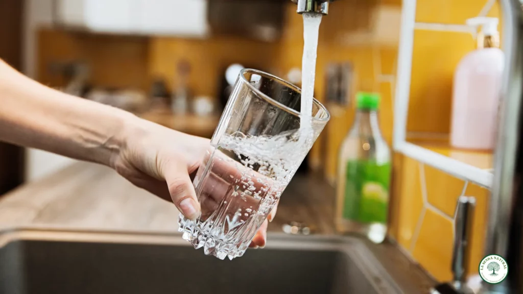 Donde se encuentran los trihalometanos