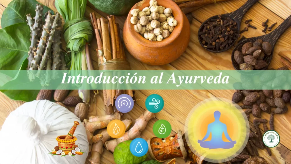 Conceptos Básicos Del Ayurveda (1ª Parte)