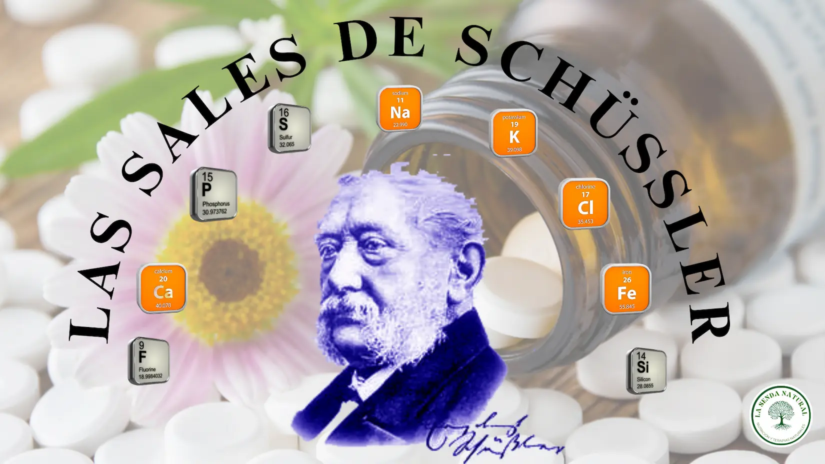 LAS SALES DE SCHUESSLER