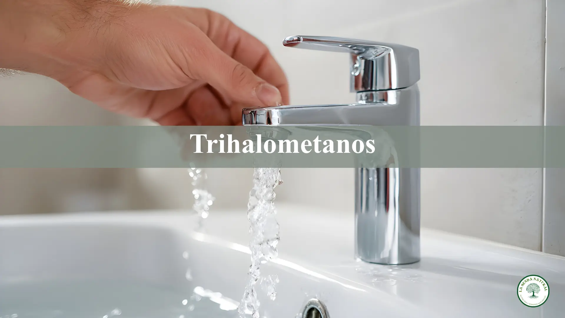 Qué son los trihalometanos