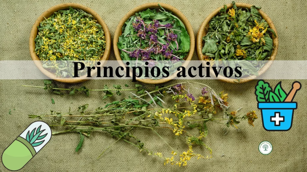 Principios activos