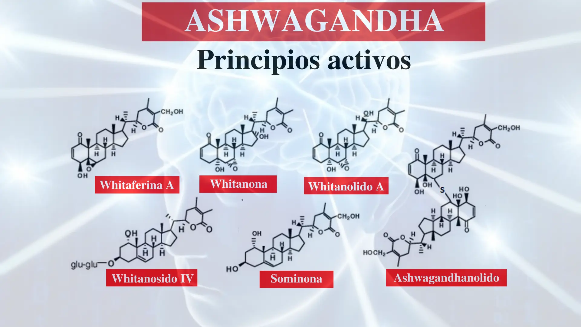 principios activos de la Ashwagandha