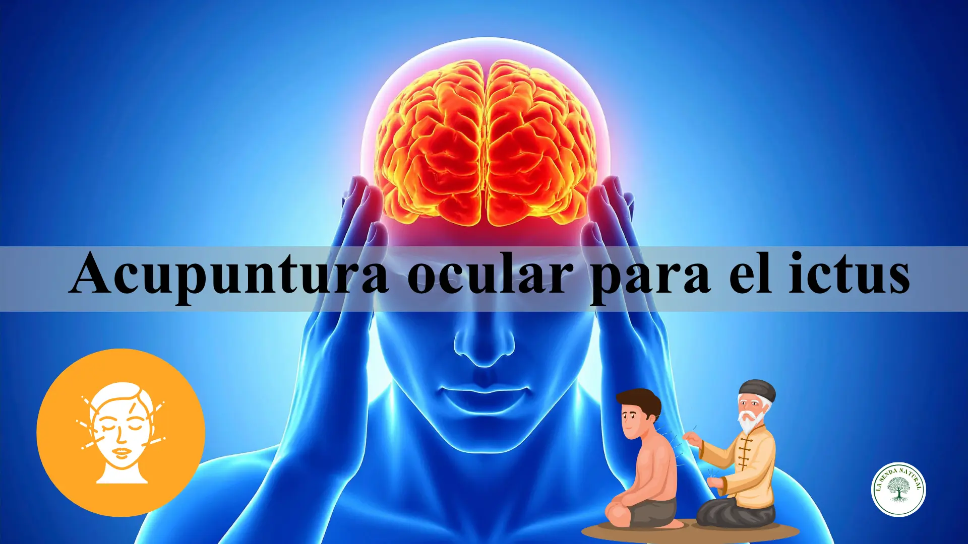 Acupuntura ocular para el ictus