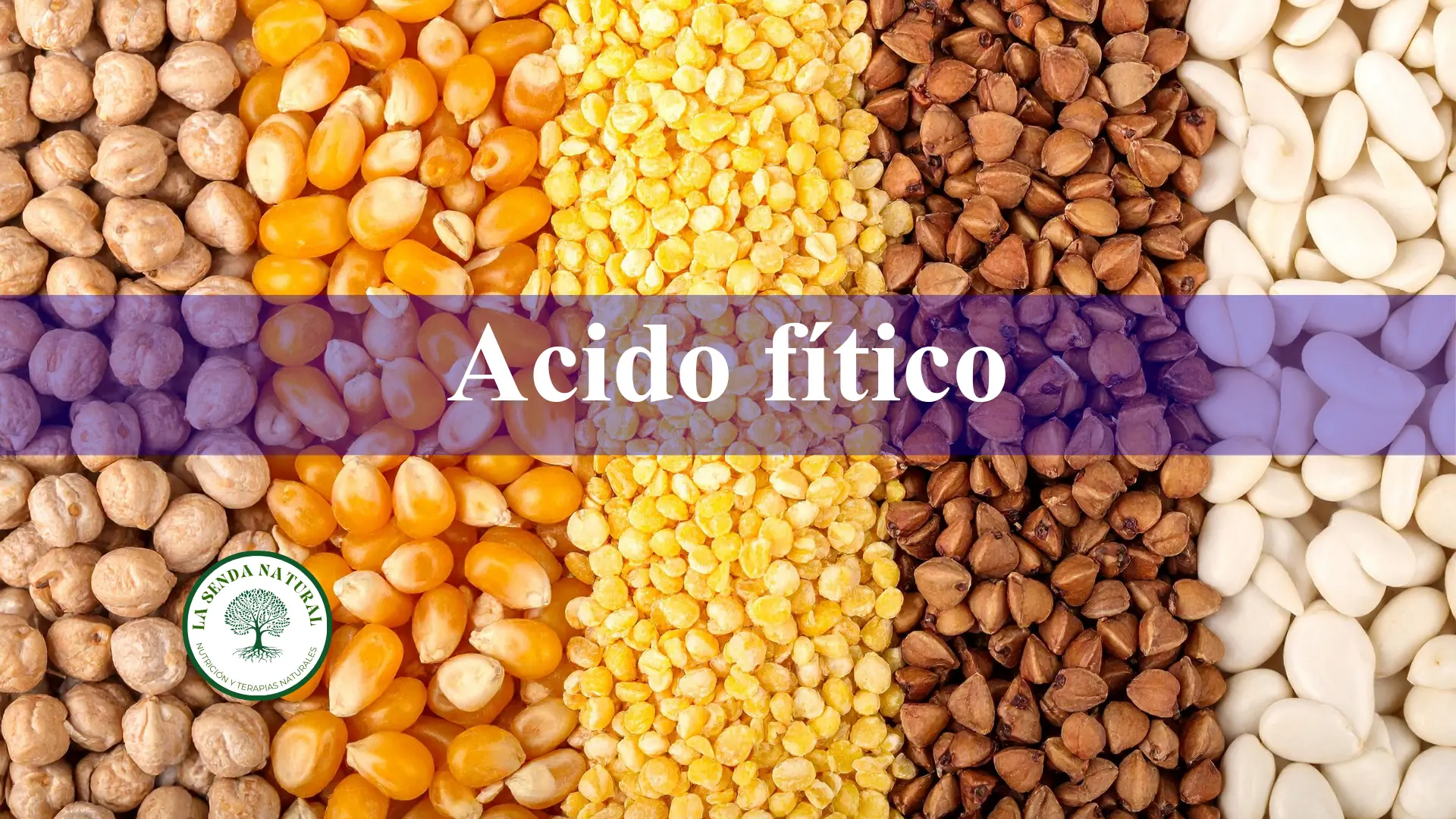Acido fítico